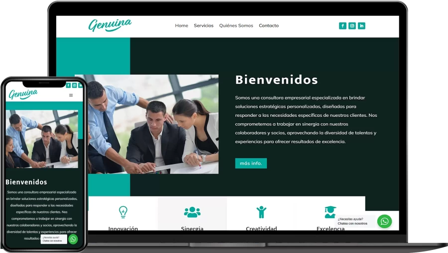 Diseño Web Consultoras