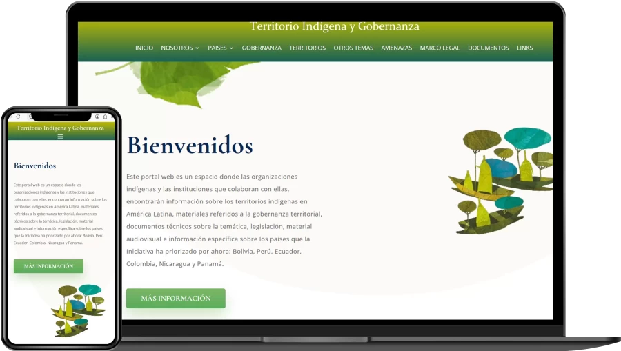 Diseño Web Fundaciones y ONG