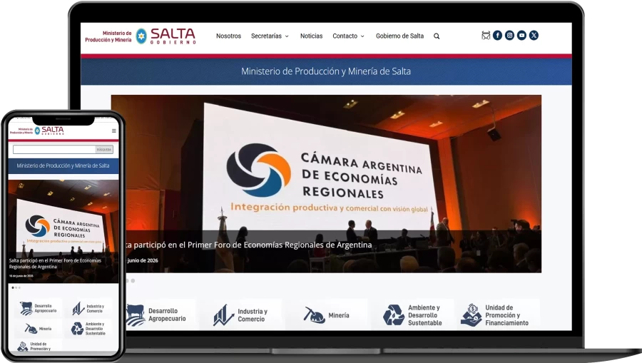 Diseño Web Gobiernos e Instituciones